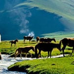 Kyrgyzstan: valle di Fergana, tra radioattività e conflitti territoriali 3