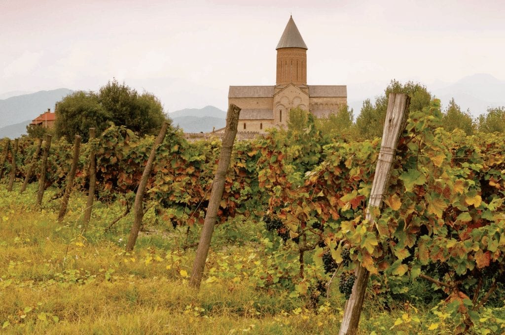 vigneto in georgia