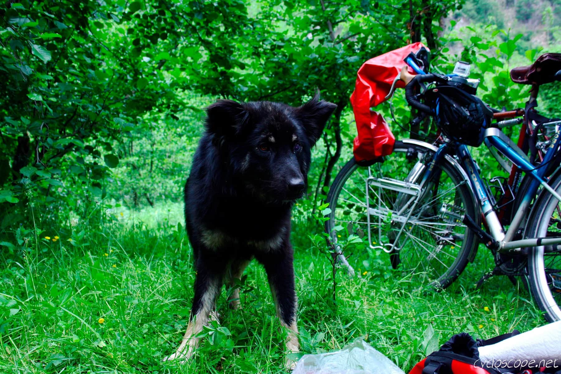 Bicycle Touring Romania pt1: another Europe 4