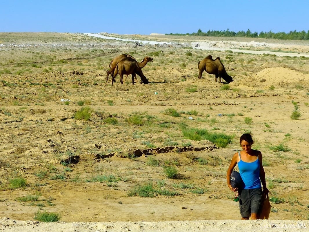 Hitchhiking Kazakhstan's Steppe