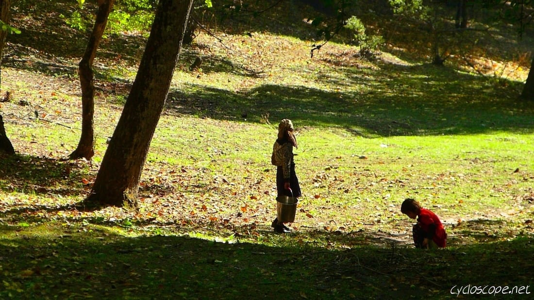 Arslanbob: Living in the Biggest Walnut Forest in the World 17