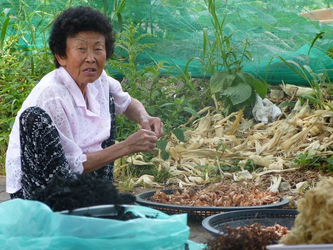 dry fish vendor Ttangkkeut