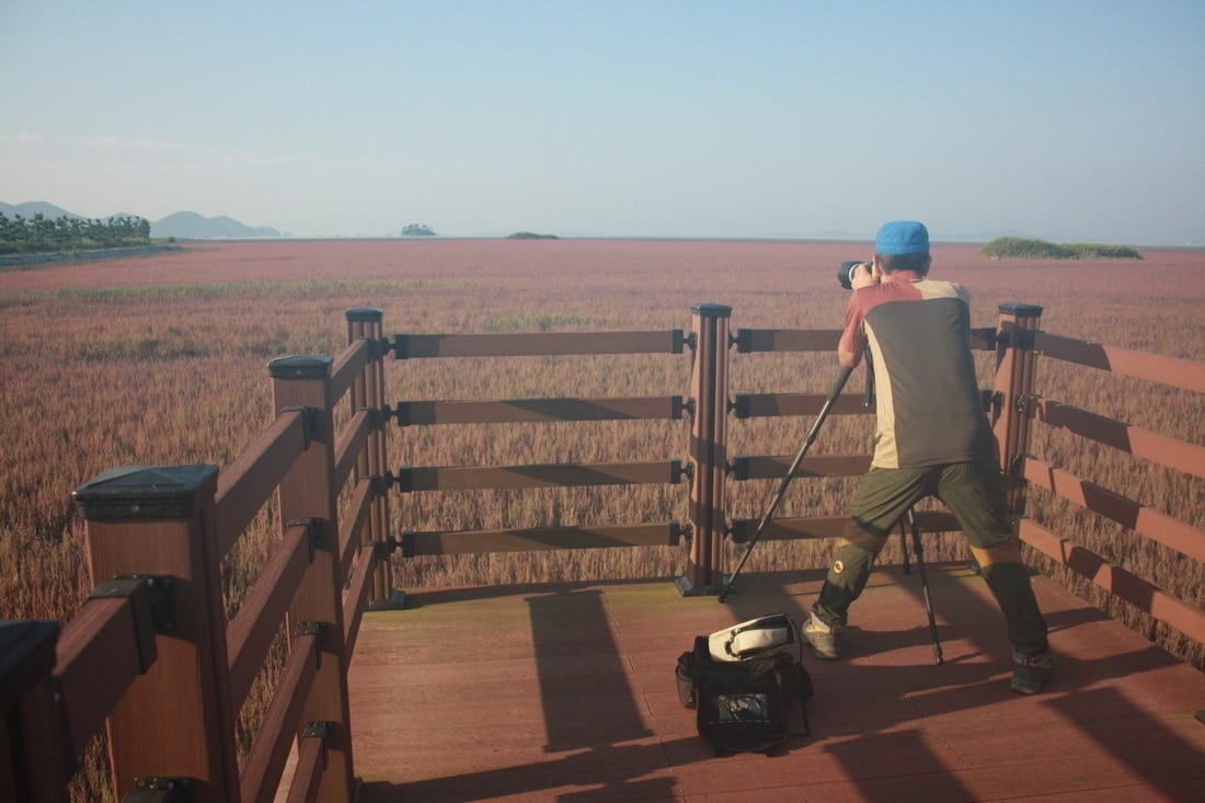 Suncheon Bay