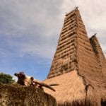 The Pasola of Sumba island - where the blood fertilizes the ancestor's land 3