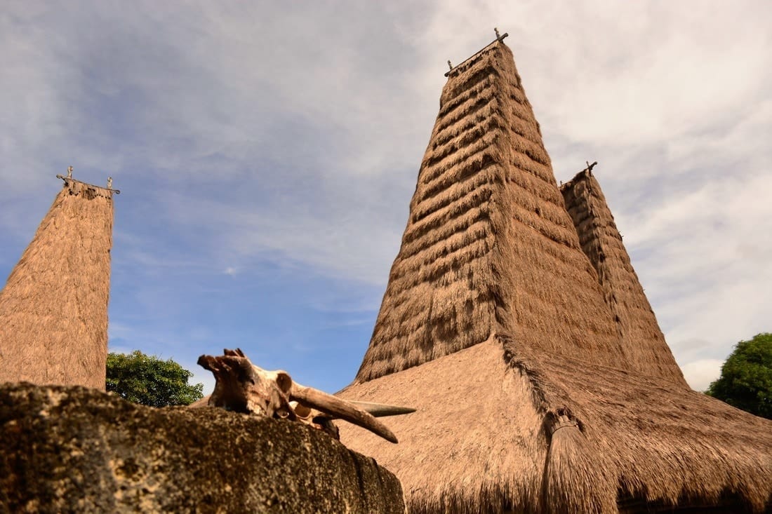 The Pasola of Sumba island - where the blood fertilize the ancestor's land 2