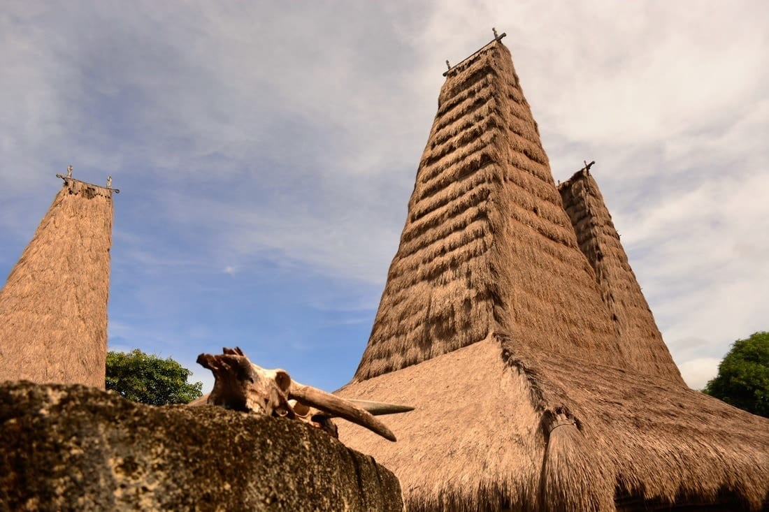 traditional houses Sumba Indonesia