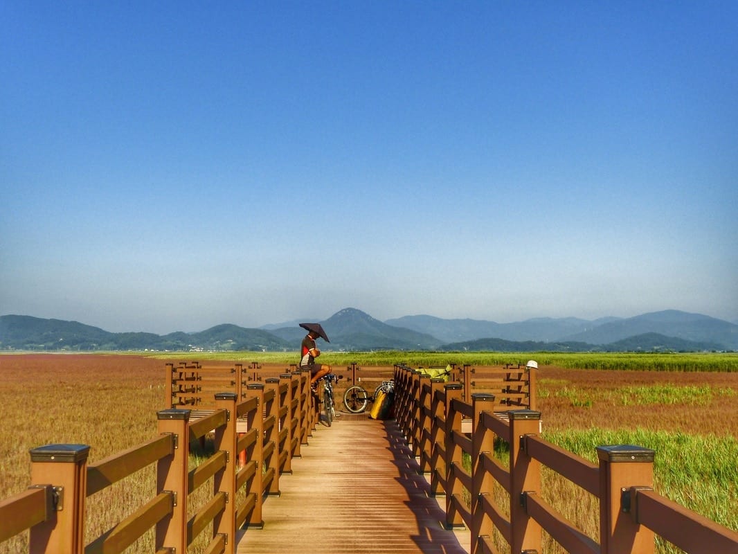 viaggio Corea del Sud basso costo