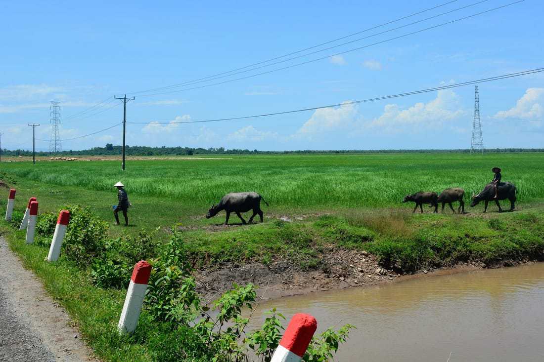 cicloturismo in Sud Est Asiatico