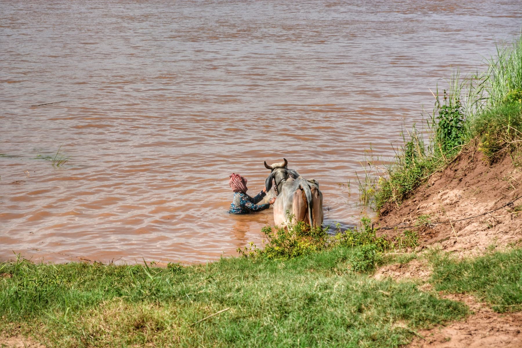 travel mekong