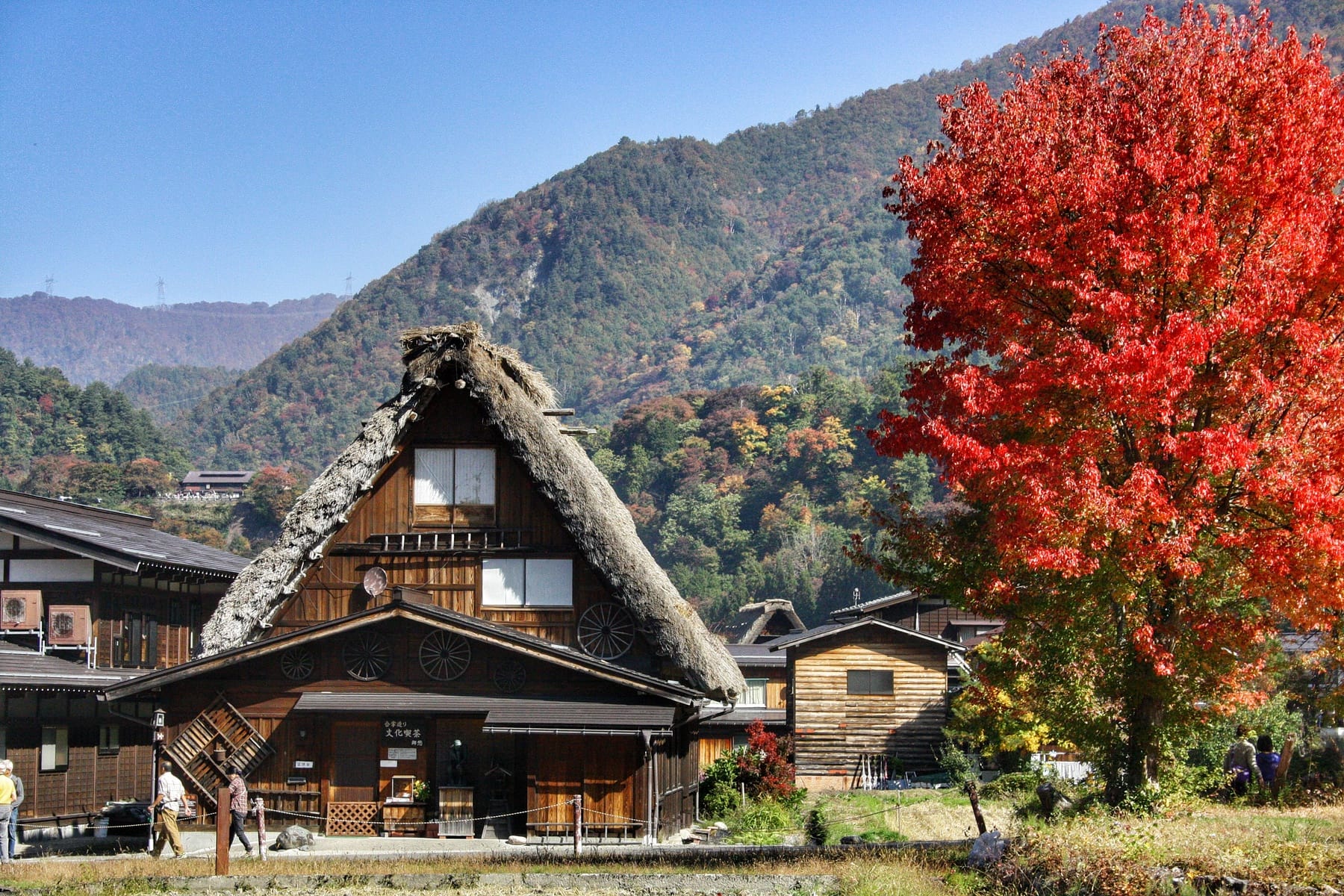 Autumn in Shirakawa