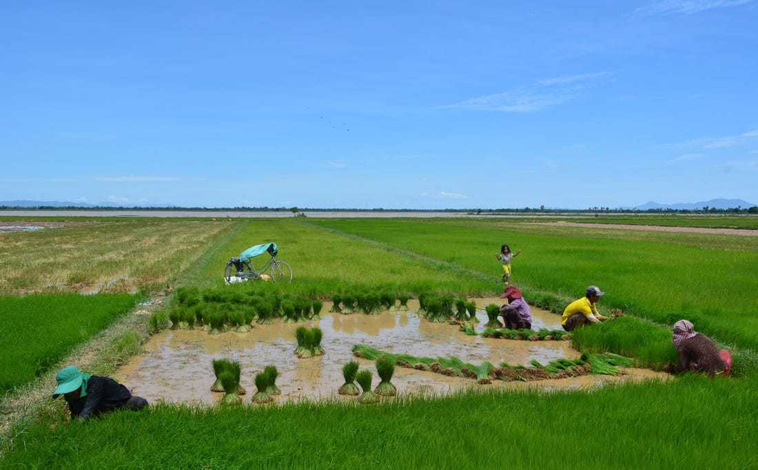 cycling Cambodia