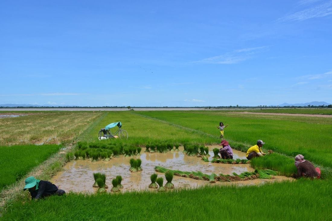 cycling cambodia