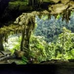 The Huge and Dark Caves of Niah National Park 1