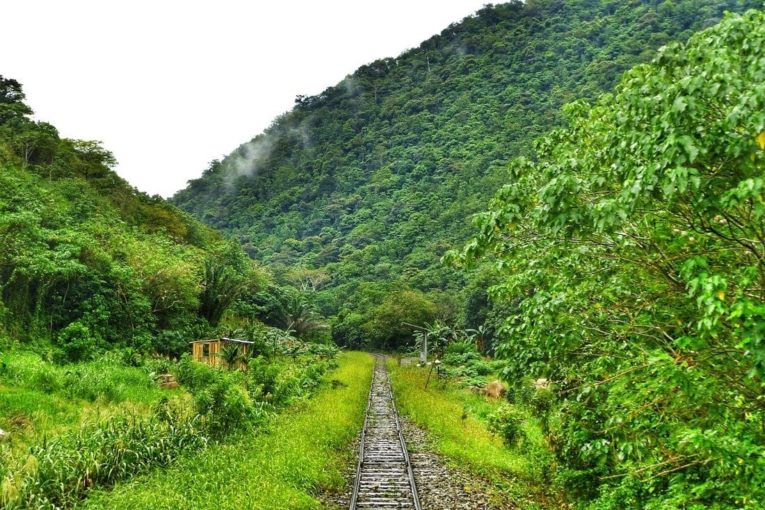 Train Borneo Tenom