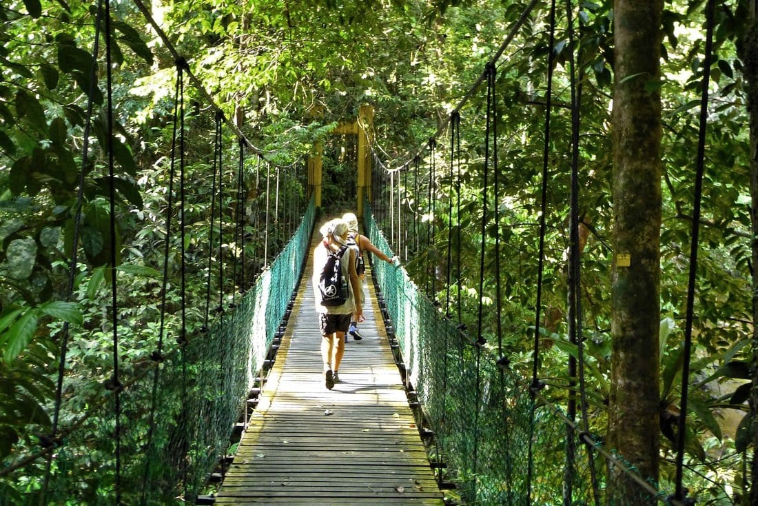 ponte al parco nazionale Lambir Hills Miri Borneo