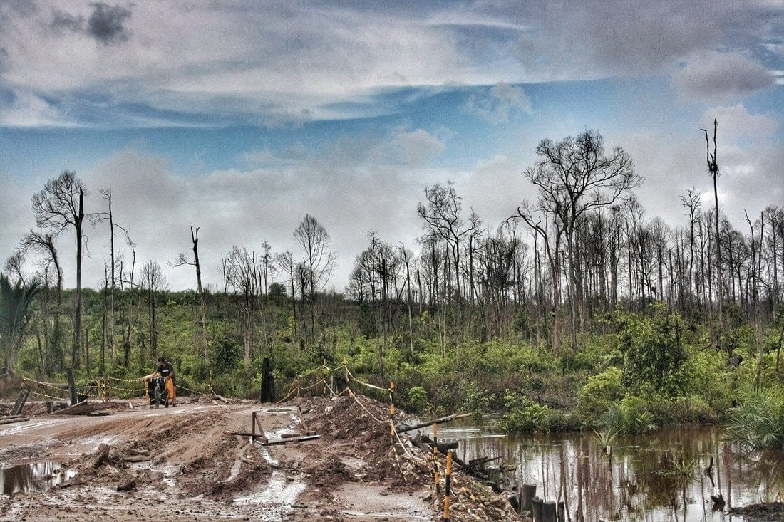 muddy roads of Indonesian Borneo