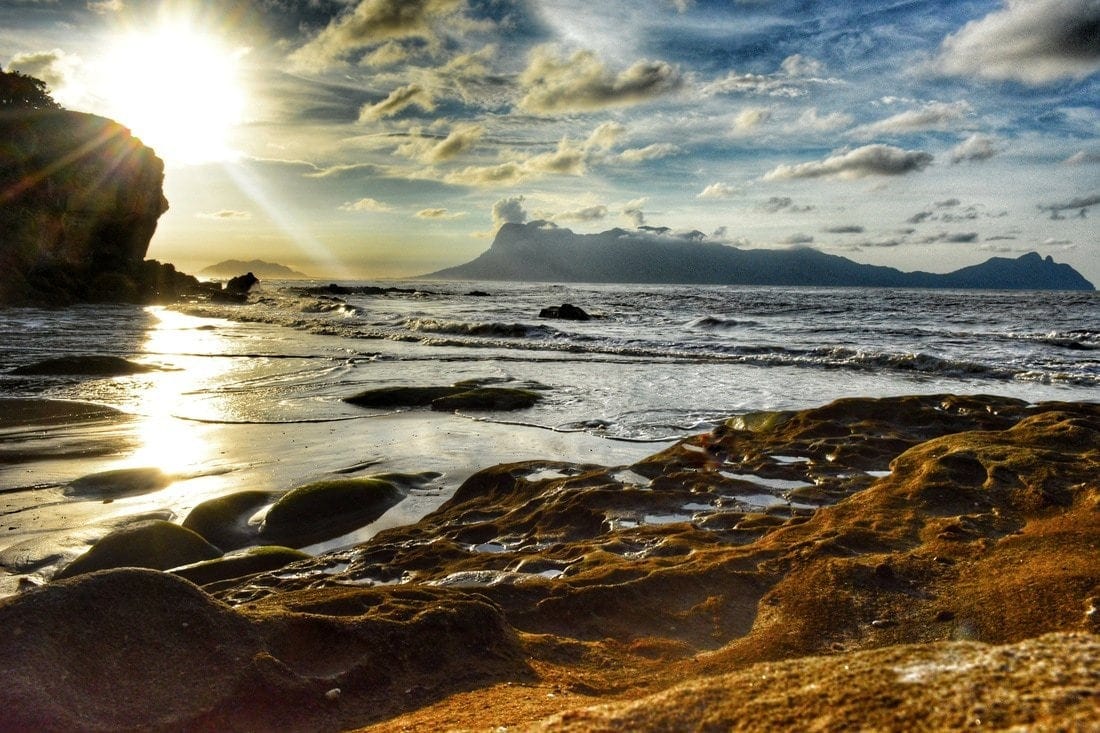 Teluk Pako beach, where many Proboscis Monkeys come out at sunset