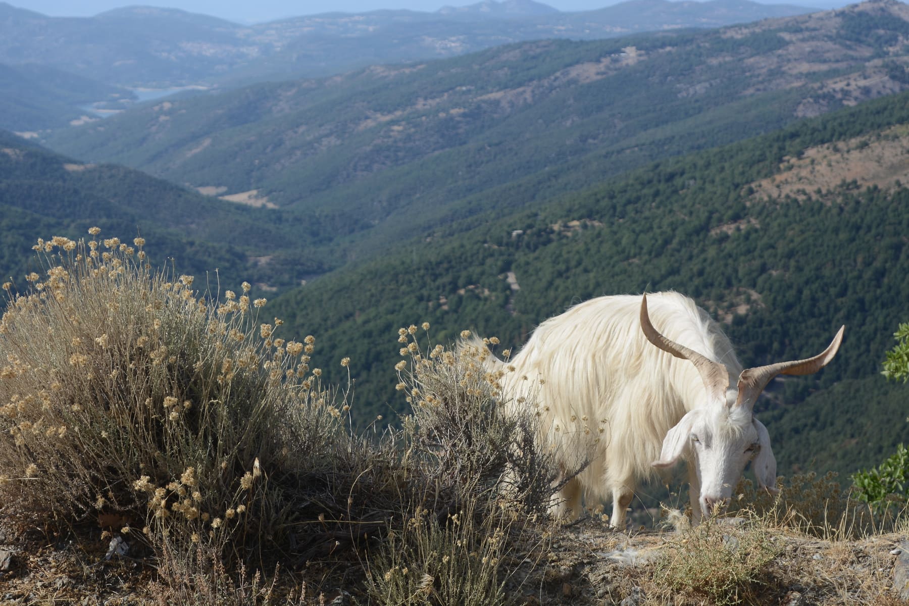 Sardinia mountains