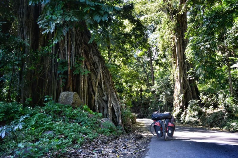 Cyclists climbing scenic hills on Flores Island, Indonesia, a challenging route.