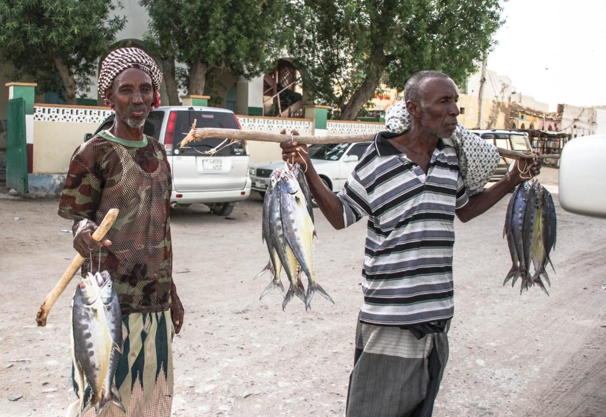 Travel Somaliland dangerous