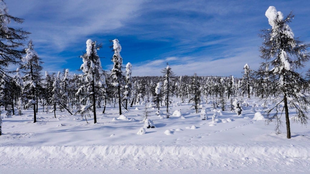 siberia in inverno