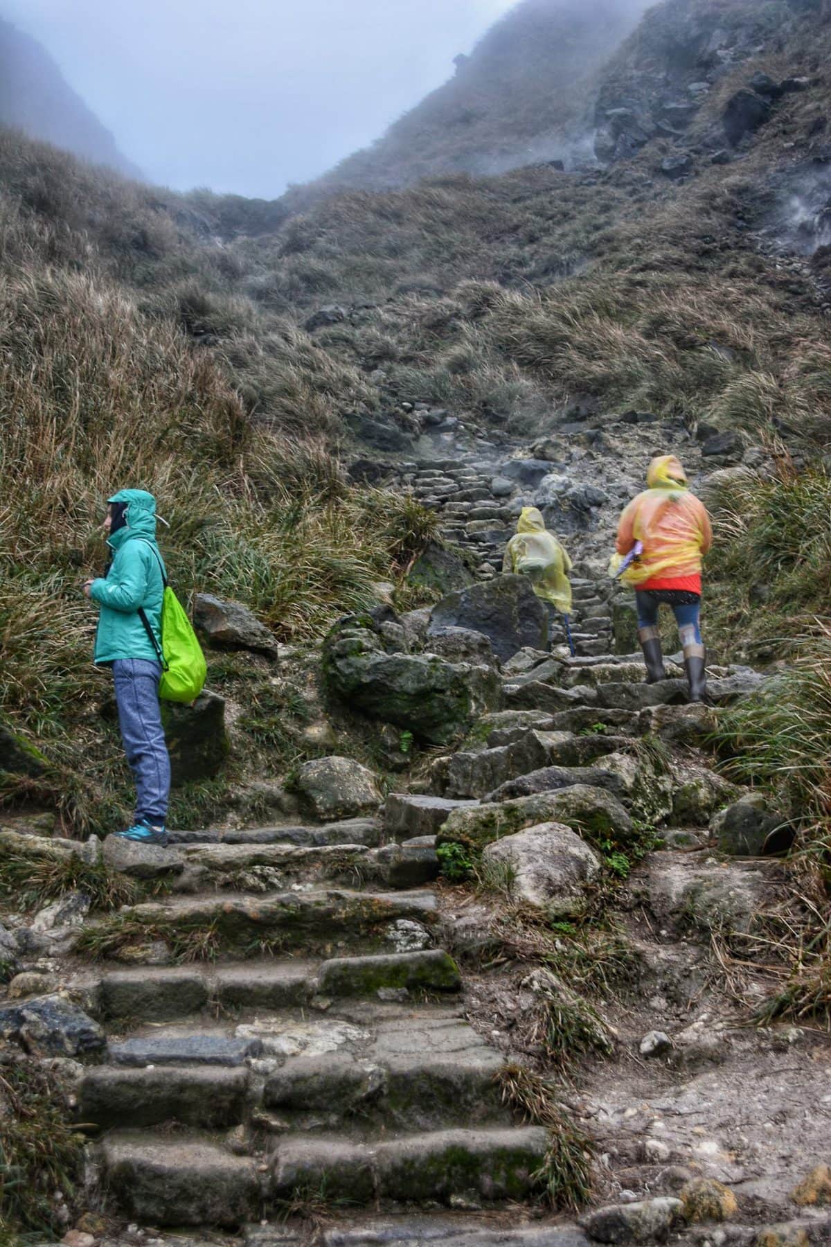 Parco Nazionale Yangmingshan 