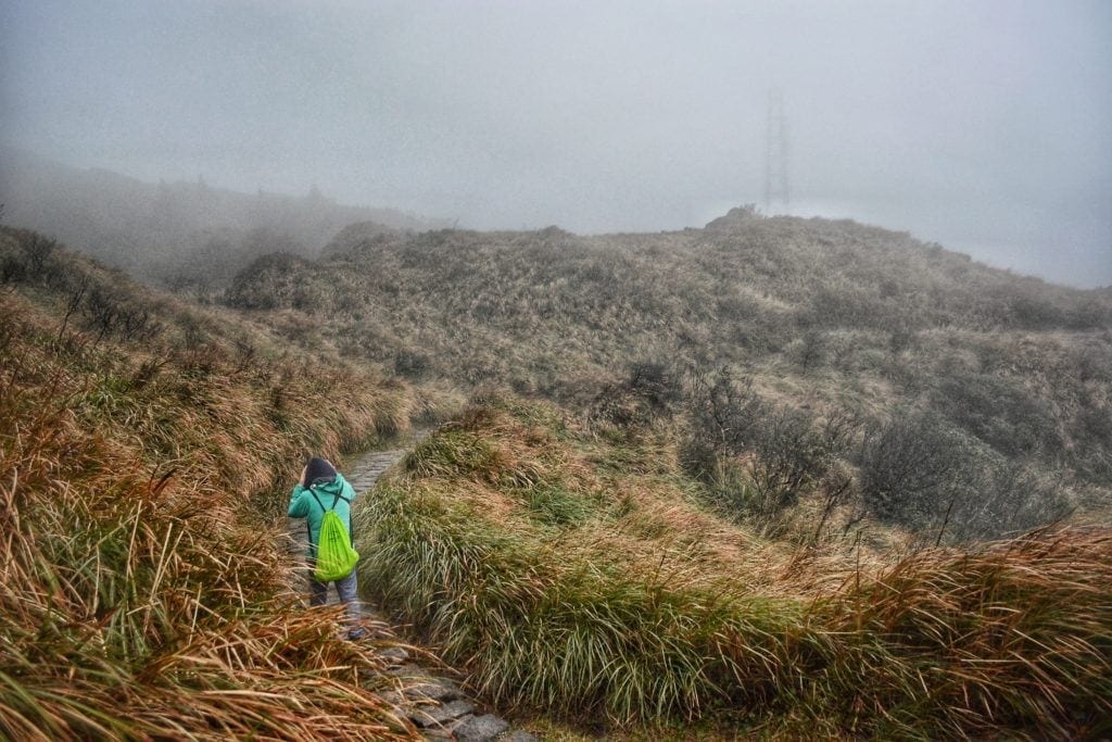 Taipei Hiking Yangmingshan