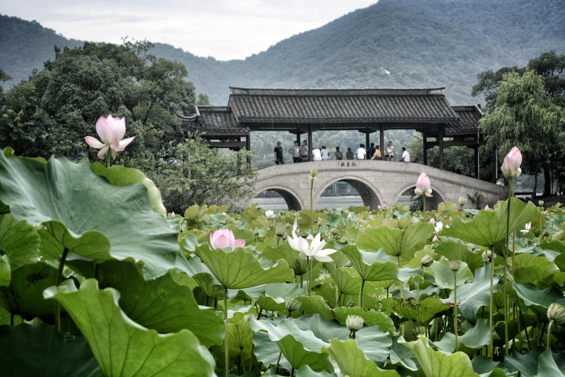 xianghu hangzhou lake