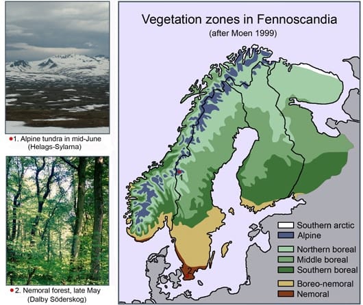 vegetation of norway