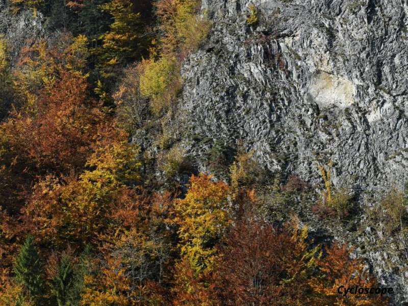 gole del fiume Dunajec 