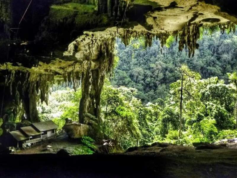 Parco Nazionale Niah e le sue grotte