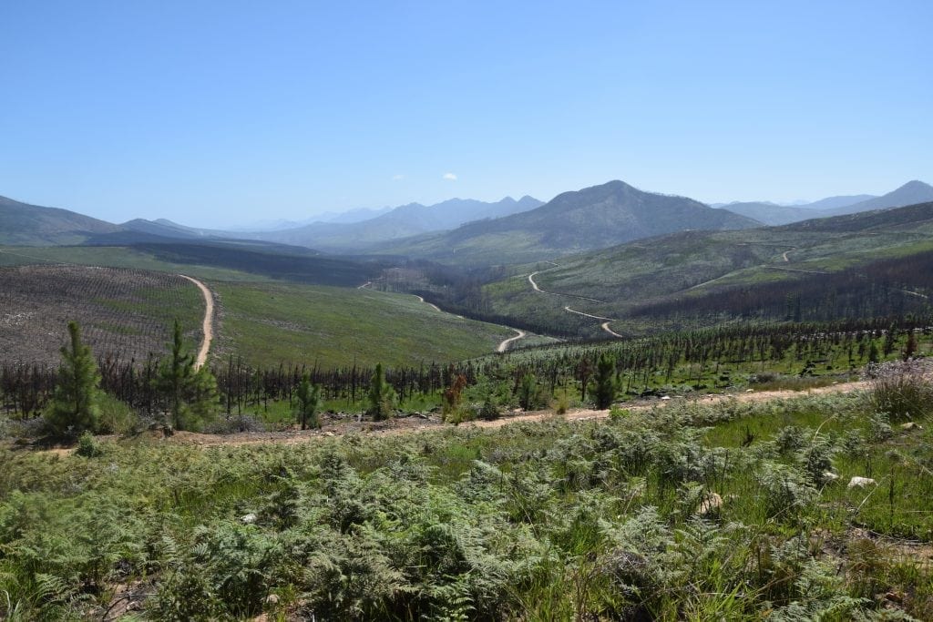 prince alfred pass garden route