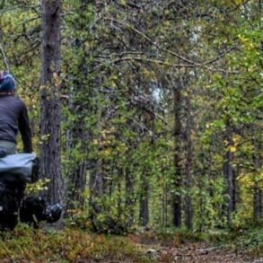 migliori borse laterali bicicletta