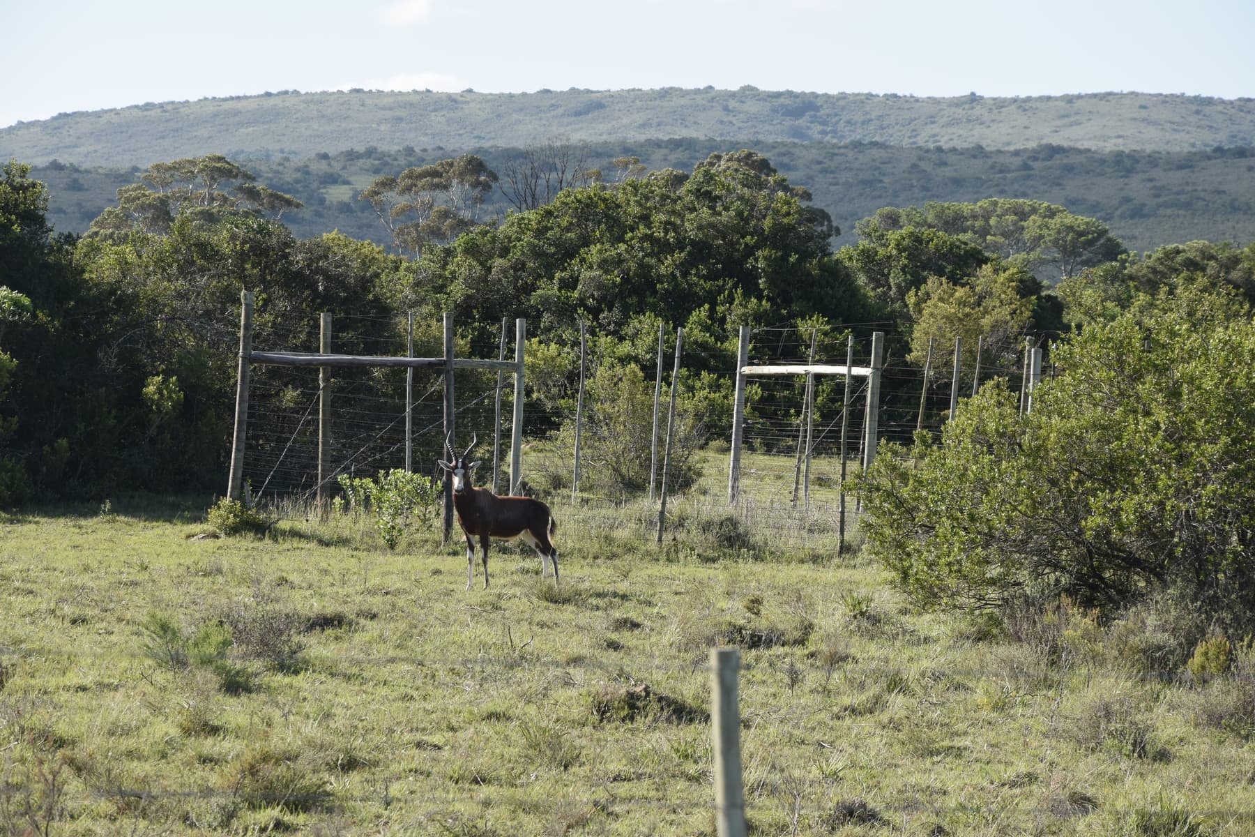 Da Port Elizabeth, in Sud Africa, al Lesotho attraversando l'Eastern Cape 27