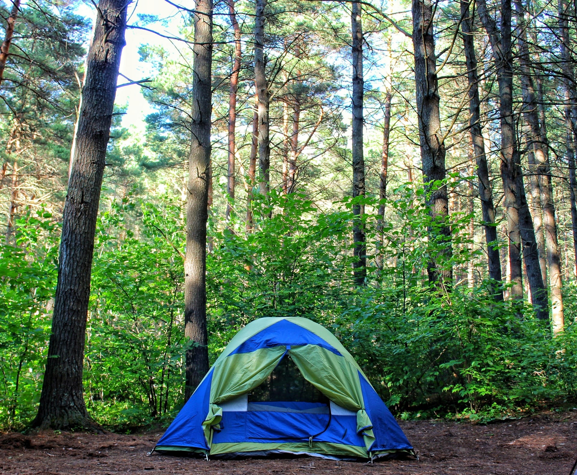 THE BEST CAMPING & OUTDOOR GEARS cover image