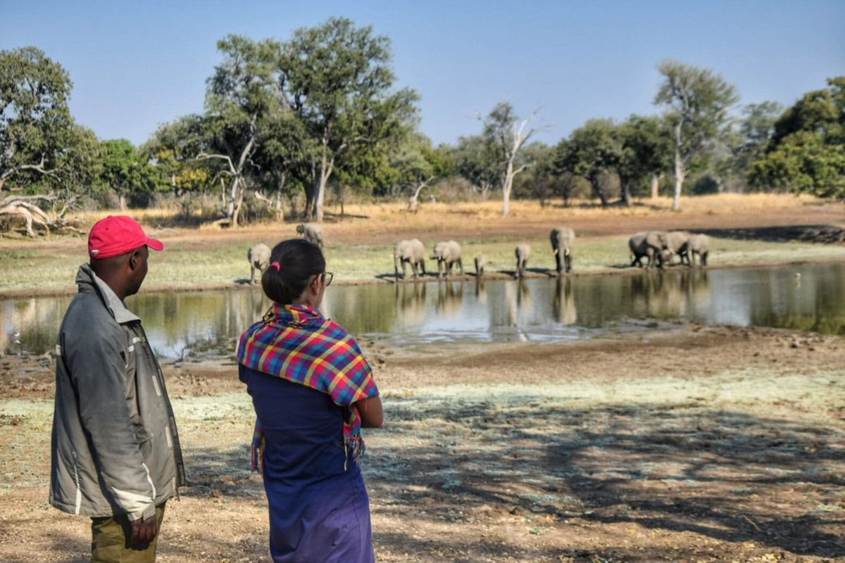 Safari Zambia South Luangwa