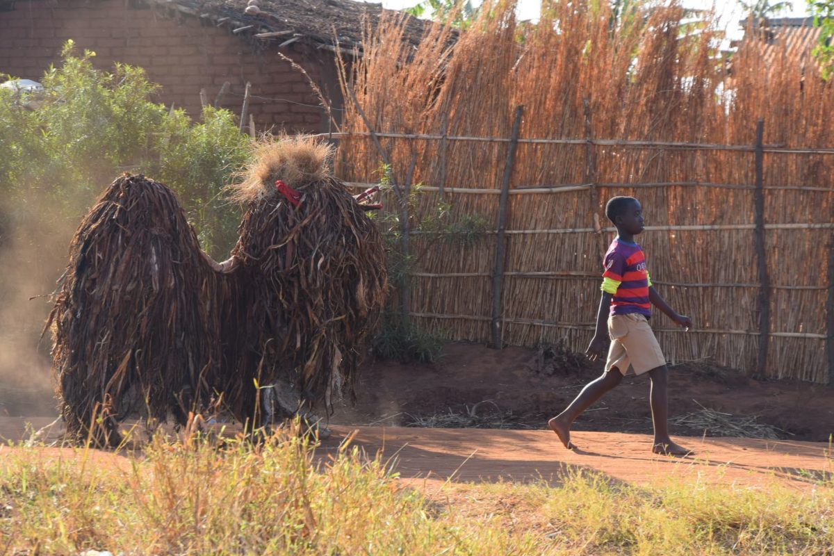 Gule Wamkulu - the sacred dance and masks of the Chewa people, Malawi 21