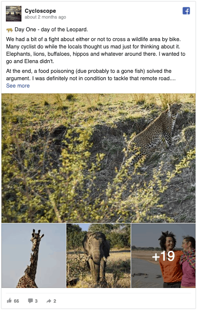 zambia safari