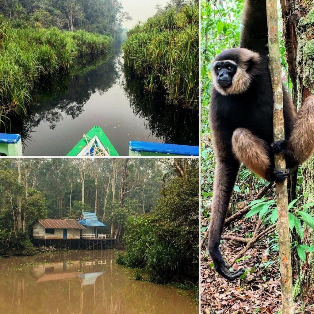31 things to do in Borneo: adventure travel Borneo off-the-beaten-path 1