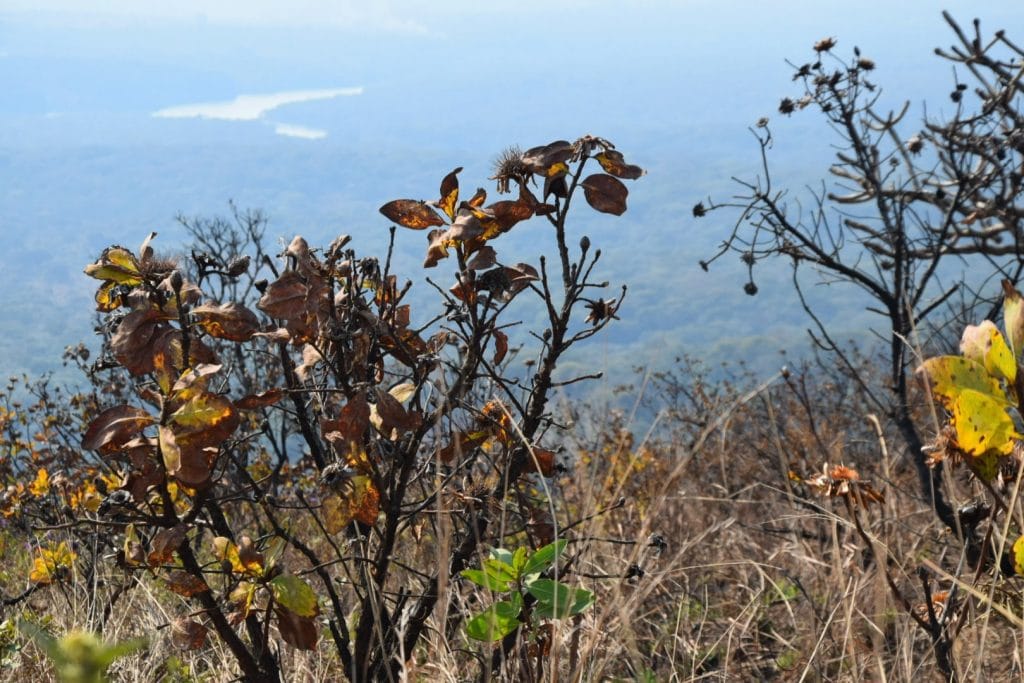 backpacking Mzuzu Malawi