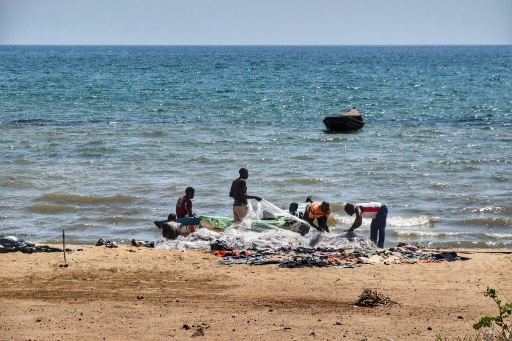 bliharzia lake malawi