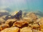 Diving Lake Malawi