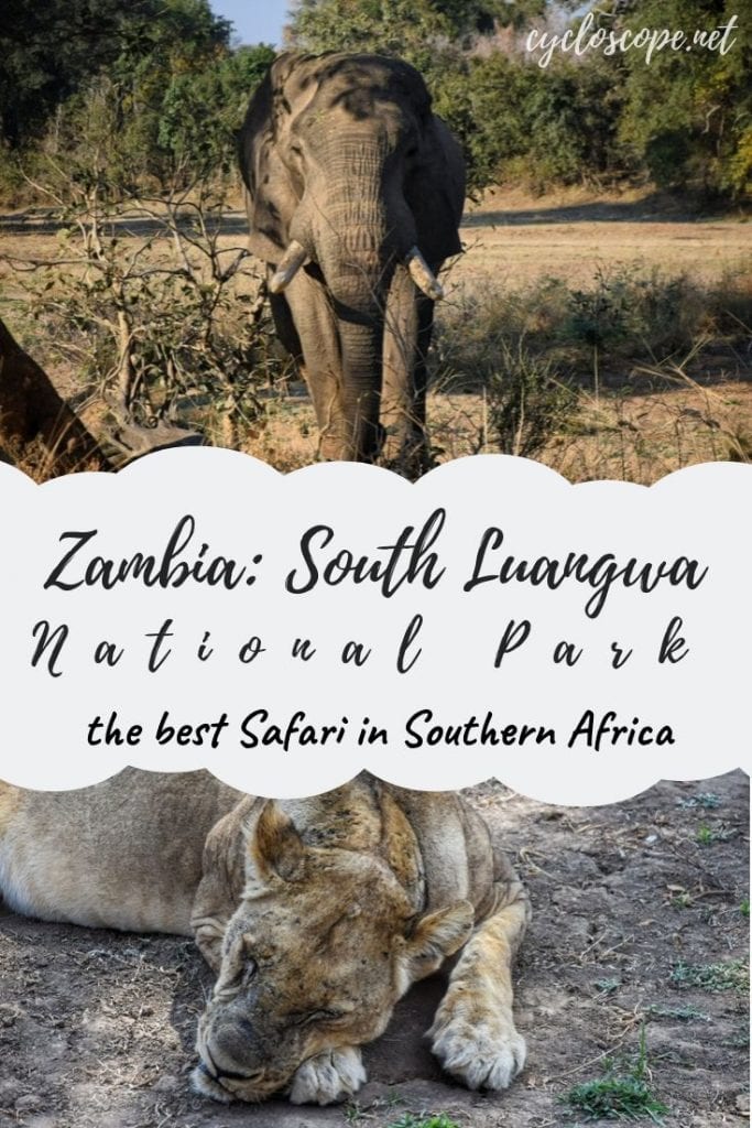 Zambia Luangwa