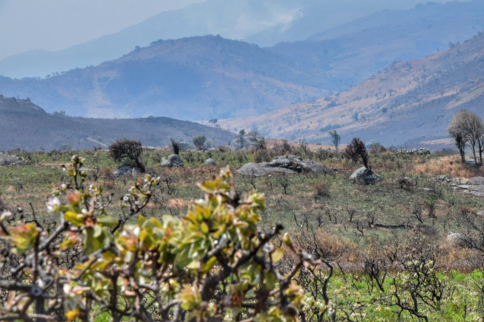 Cycling Malawi: Bikepacking and Cycle Touring Routes 3