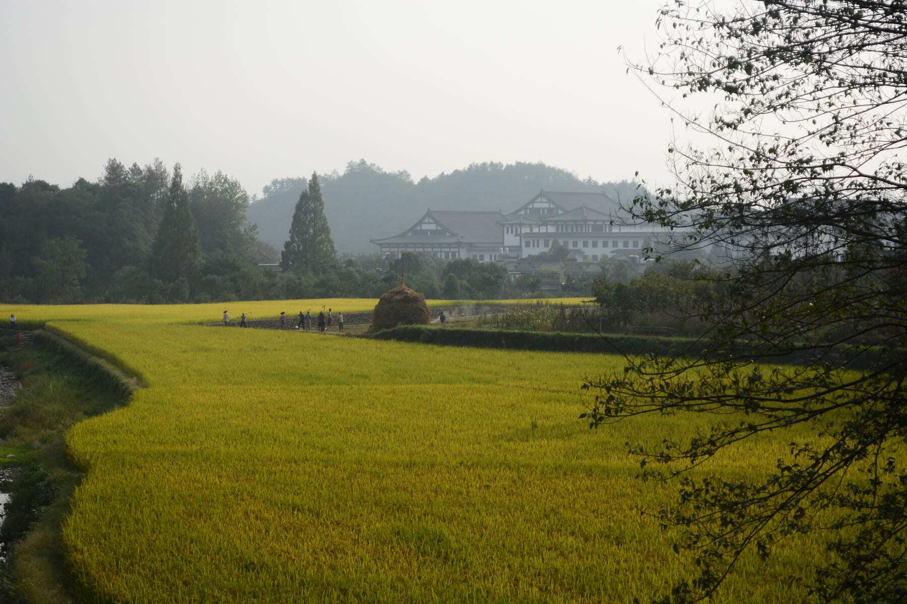 cycling in china