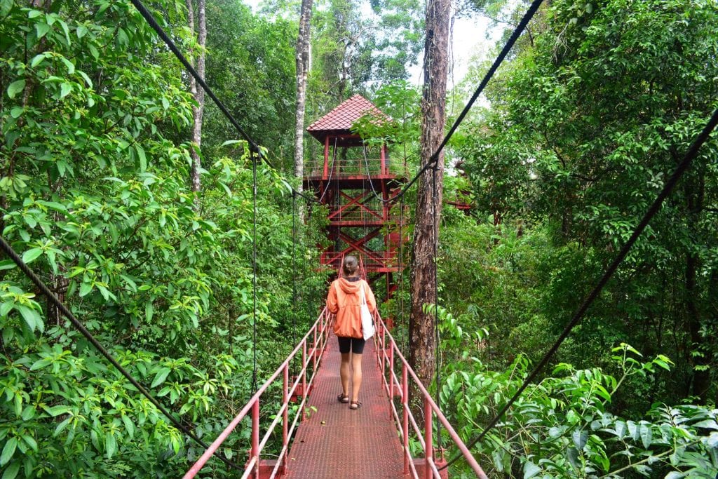 Krabi botanical garden