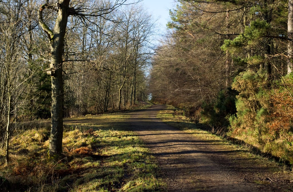 Cycling Holiday in the UK? 11 (or 12) Best Bike Trails for Everyone 11