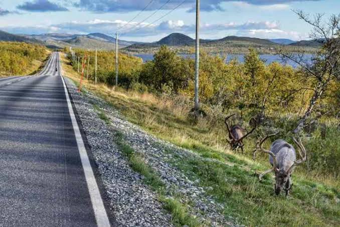 bikepacking finland