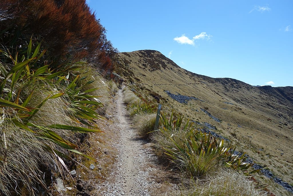 old ghost road