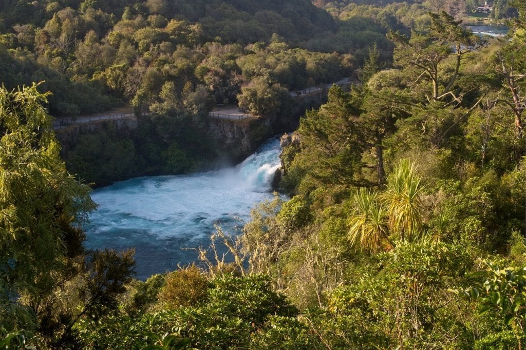 new zealand by bicycle